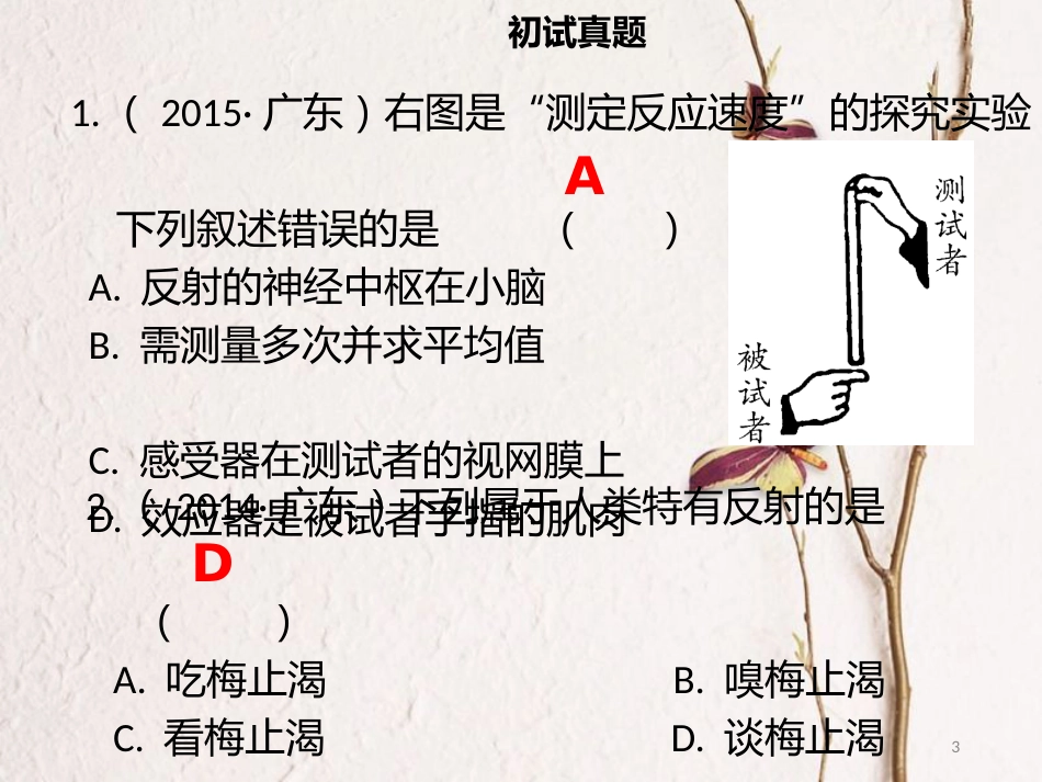 广东省中考生物 模块四 生物圈中的人 第五课时 人的神经系统课件_第3页