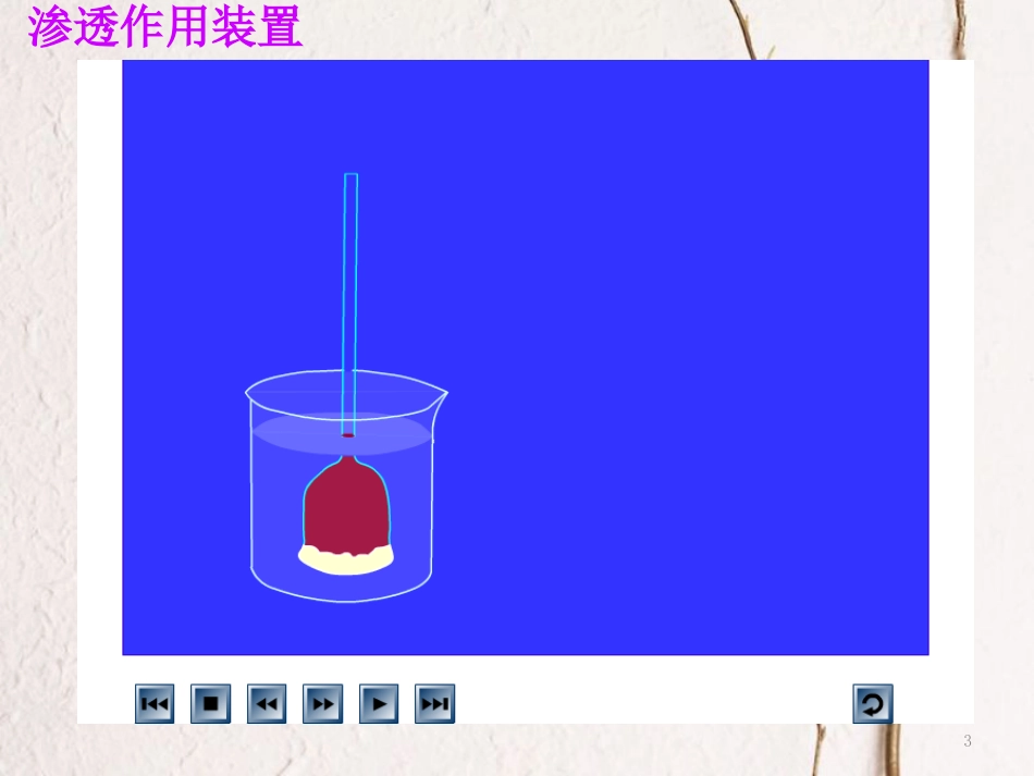 河北省南宫市高中生物 第四章 细胞的物质输入和输出 4.1 物质跨膜运输的实例课件 新人教版必修1_第3页