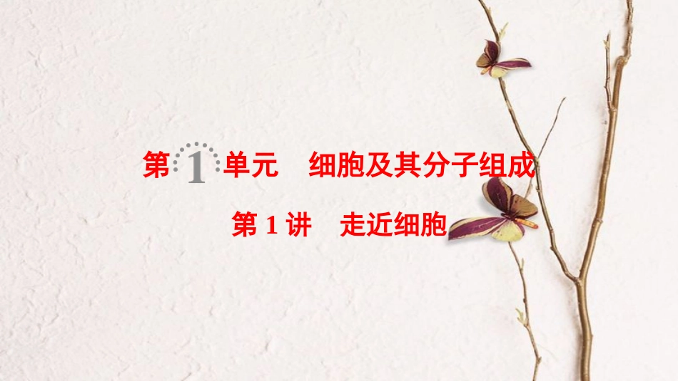 （全国版）2019版高考生物一轮复习 第1单元 细胞及其分子组成 第1讲 走近细胞课件_第1页