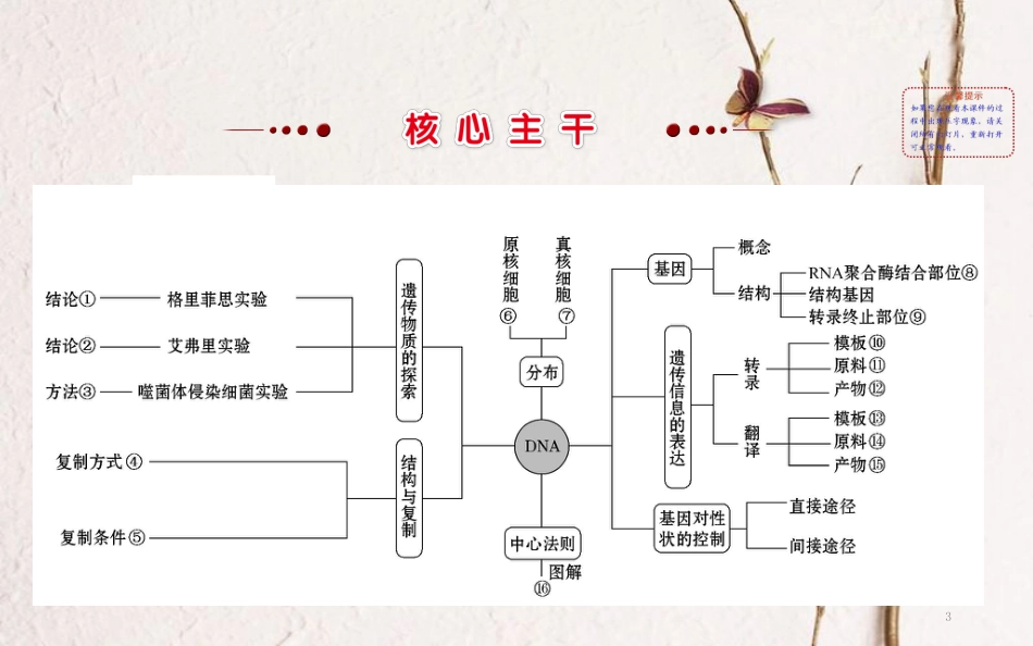 高三生物二轮复习 2.6 专题6 遗传的分子基础课件_第3页