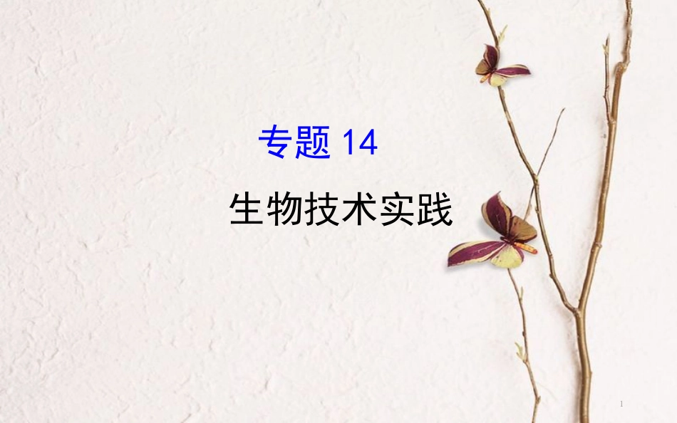 高三生物二轮复习 2.14 专题14 生物技术实践课件_第1页