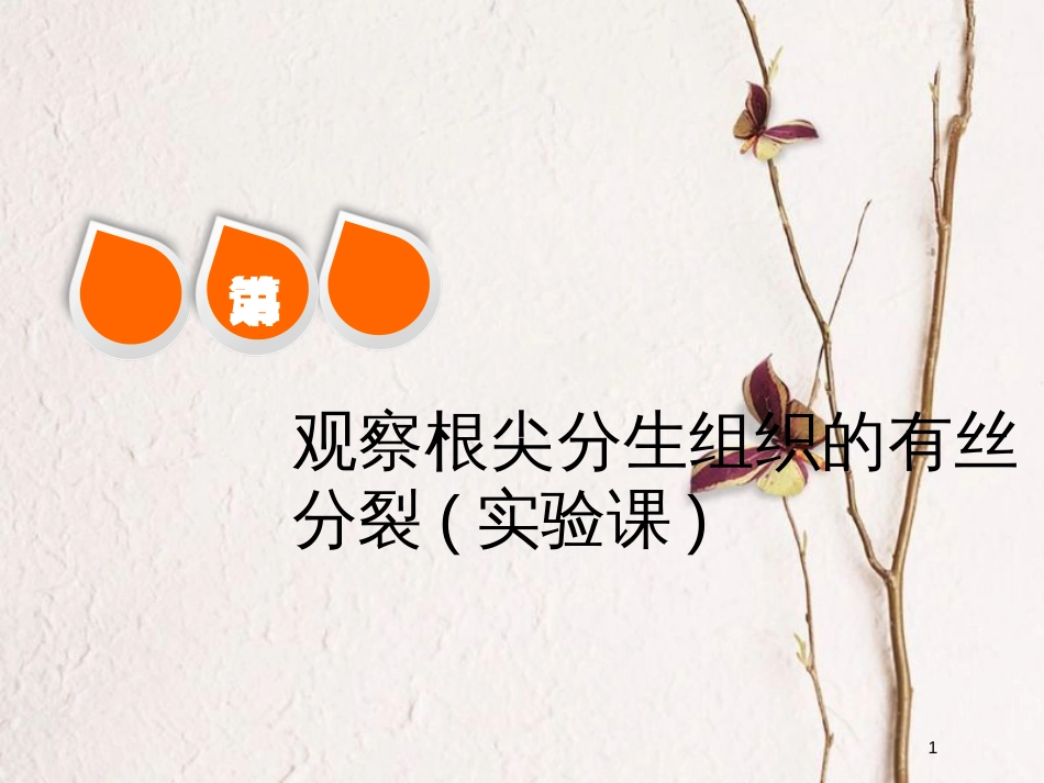 2019版高考生物一轮复习 第四单元 细胞的生命历程 第二讲 观察根尖分生组织的有丝分裂(实验课)精选课件_第1页