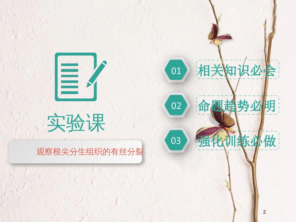 2019版高考生物一轮复习 第四单元 细胞的生命历程 第二讲 观察根尖分生组织的有丝分裂(实验课)精选课件_第2页