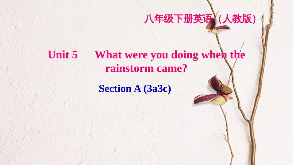 八年级英语下册 Unit 5 What were you doing when the rainstorm came Section A(3a-3c)习题课件 （新版）人教新目标版_第1页