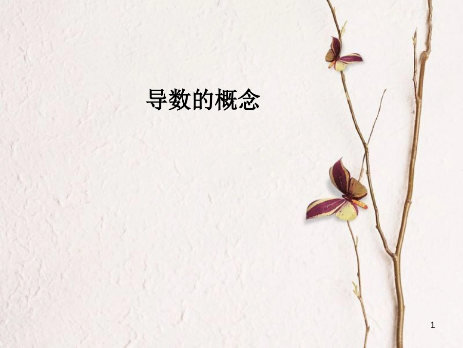 山西省忻州市高考数学 专题 导数概念复习课件_第1页