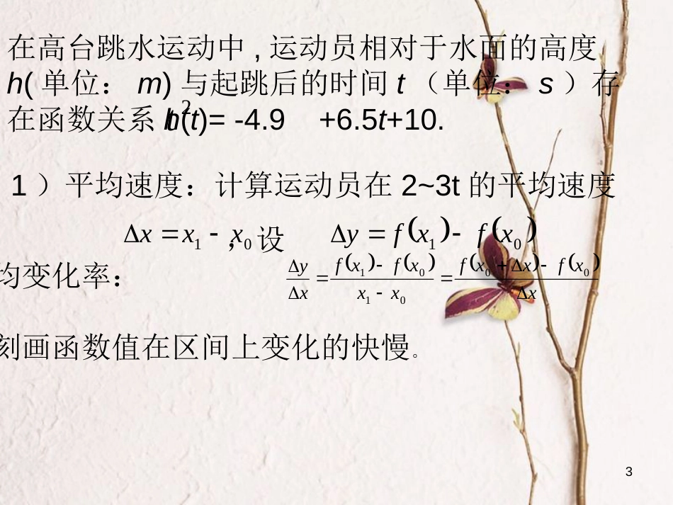 山西省忻州市高考数学 专题 导数概念复习课件_第3页