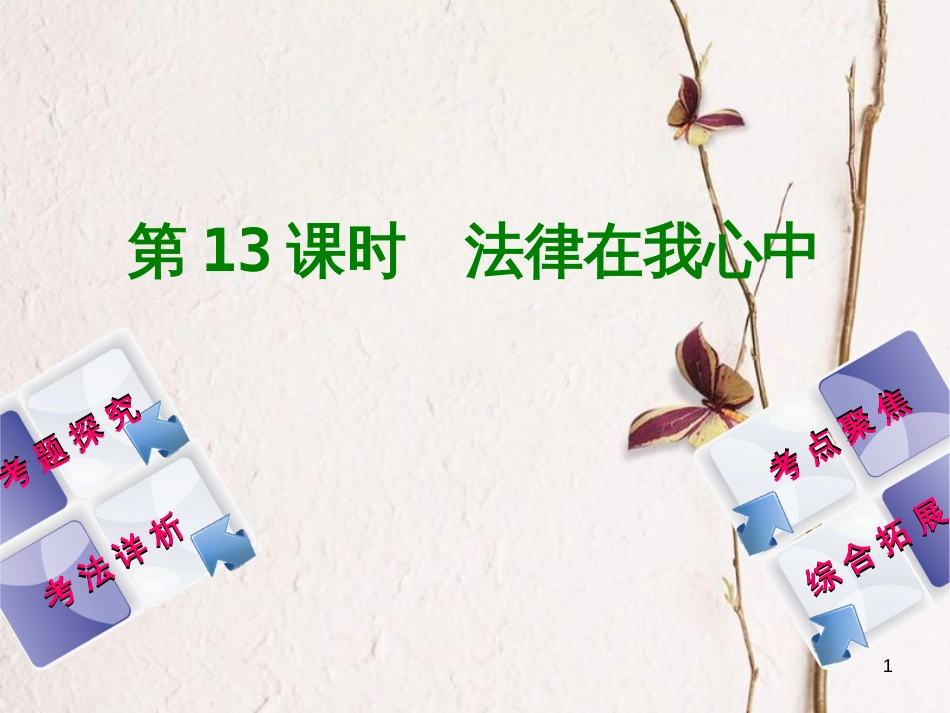 北京市中考政治 八年级 第十三课时 法律在我心中教材复习课件 人民版_第1页