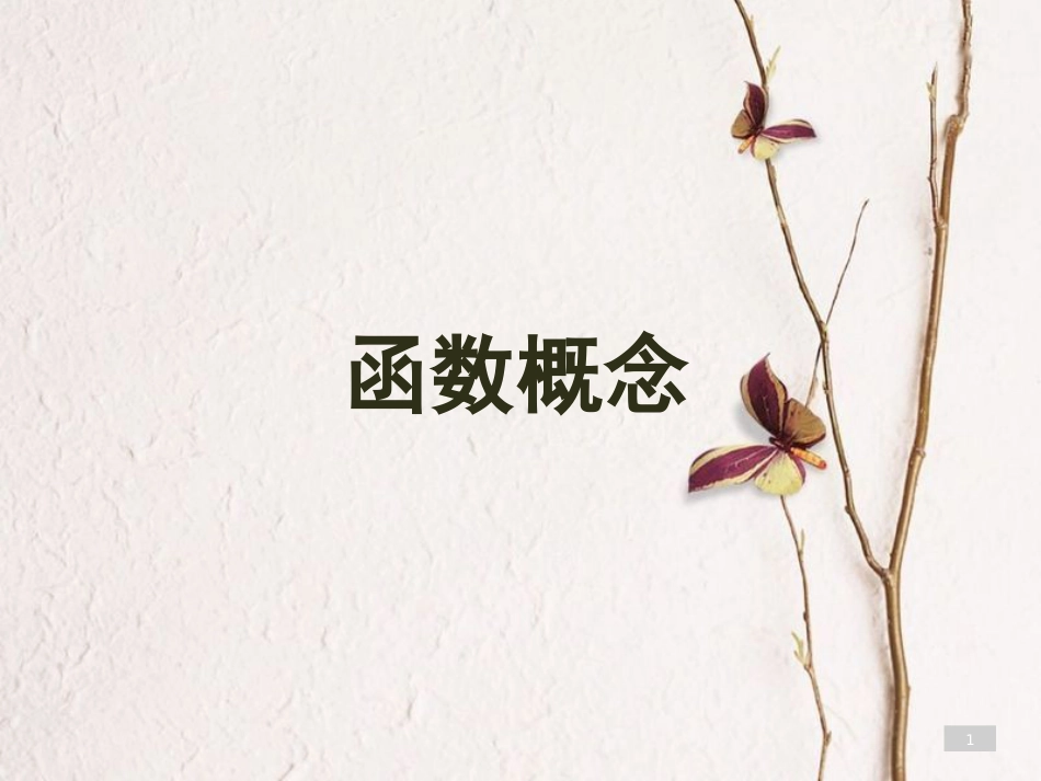 山西省忻州市高考数学 专题 函数概念1复习课件_第1页