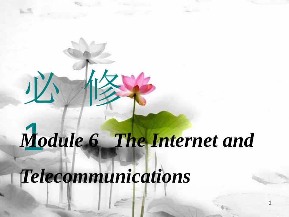 高考英语一轮复习 Module 6 The Internet and Telecommunications课件 外研版必修1_第1页