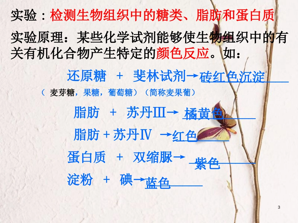 辽宁省北票市高中生物 第二章 组成细胞的分子 2.1 细胞中的元素和化合物（2）课件 新人教版必修1_第3页