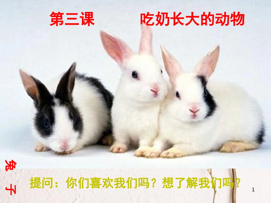 四年级科学上册 2.3 吃奶长大的动物课件2 湘教版_第1页