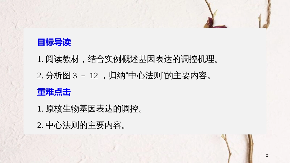 高中生物 第3章 遗传信息的复制与表达 第11课时 遗传信息的表达(Ⅲ)课件 北师大版必修2_第2页