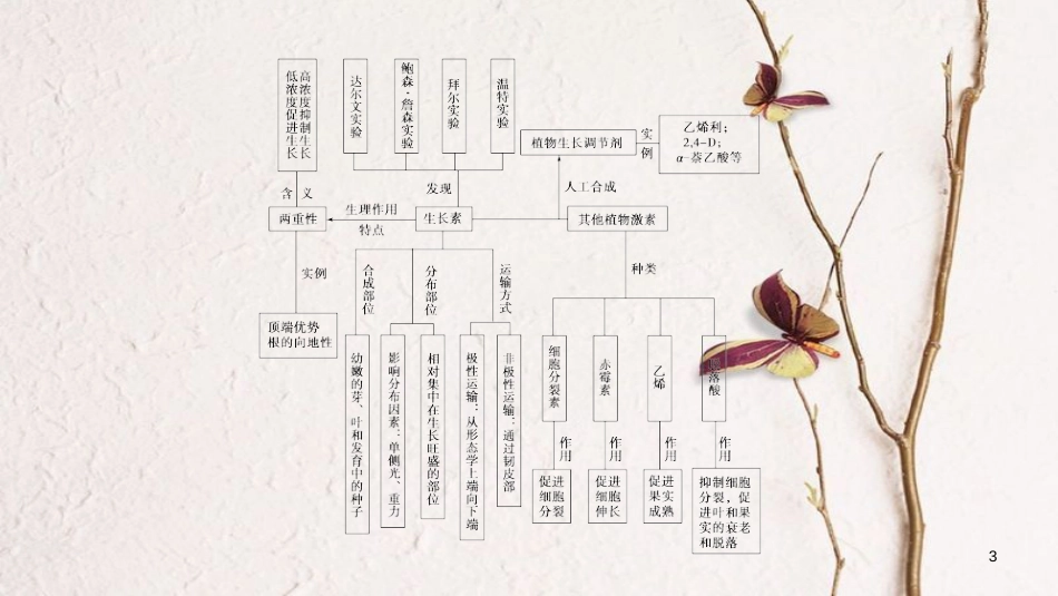 高中生物 第3章 植物的激素调节章末归纳整合课件 新人教版必修3_第3页