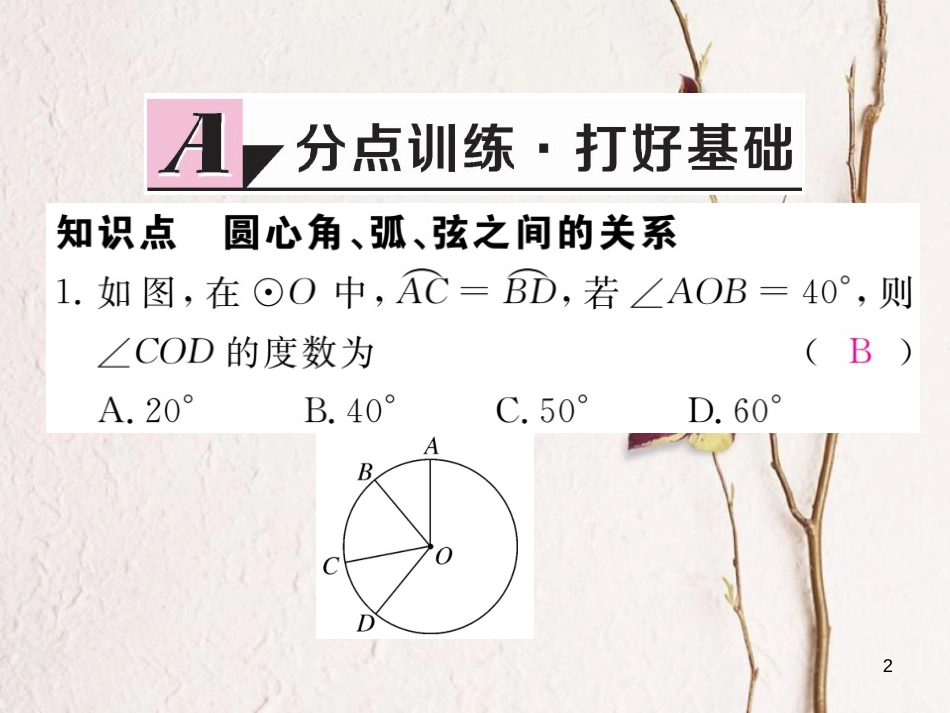 九年级数学下册 2.2 圆心角、圆周角 2.2.1 圆心角作业课件 （新版）湘教版_第2页