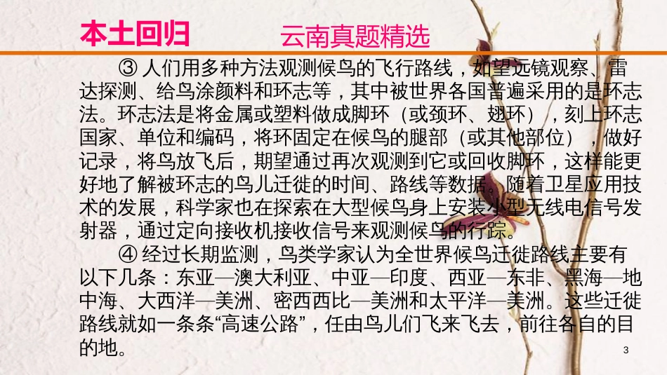 云南省中考语文复习方案 第四部分 现代文阅读 专题一 说明文阅读课件_第3页