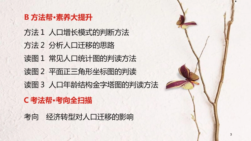 中考地理一轮复习 第八单元 人口的变化课件_第3页