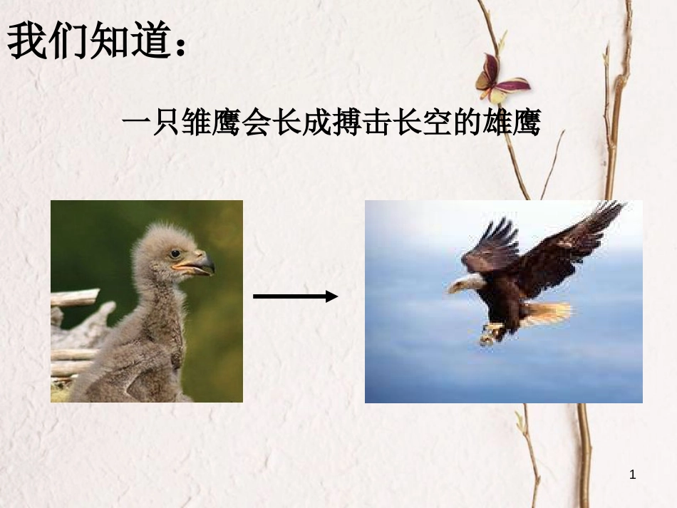七年级生物上册 第三章 第三节 细胞分裂和分化课件 （新版）苏教版_第1页