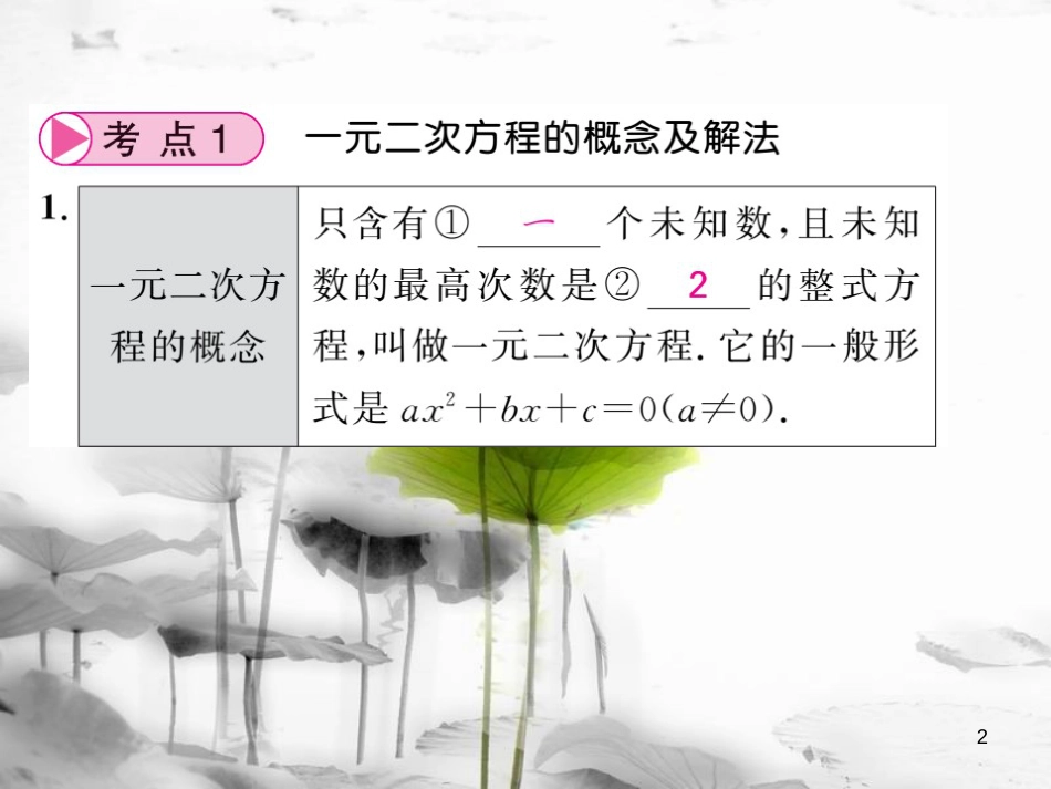 春中考数学总复习 第一轮 同步演练 夯实基础 第一部分 数与代数 第2章 方程（组）与一元一次不等式（组）第6节 一元二次方程及应用课件 新人教版_第2页