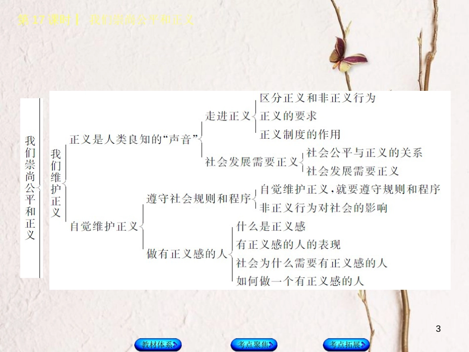 （鄂尔多斯专版）中考政治 八年级 第17课时 我们崇尚公平和正义课件_第3页