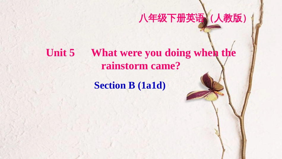 八年级英语下册 Unit 5 What were you doing when the rainstorm came Section B(1a-1d)习题课件 （新版）人教新目标版_第1页