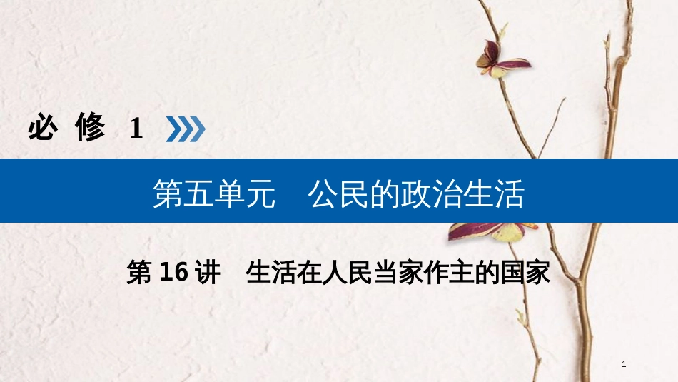 （全国通用版）2019版高考政治一轮复习 第五单元 公民的政治生活 第16讲 生活在人民当家作主的国家课件_第1页