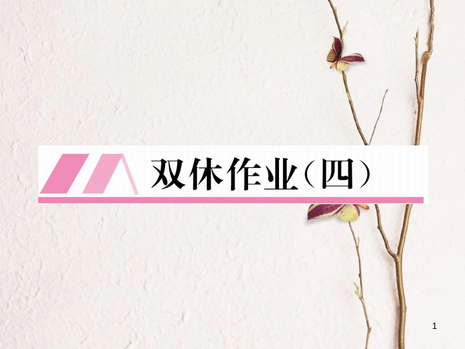 九年级数学下册 双休作业（四）作业课件 （新版）湘教版_第1页