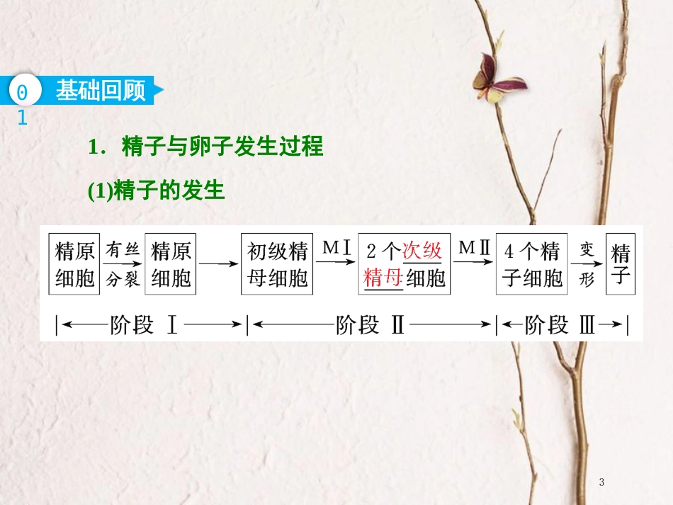 （全国通用版）2019版高考生物一轮复习 选考部分 现代生物科技专题 第3讲 胚胎工程及生物技术的安全性和伦理问题课件_第3页