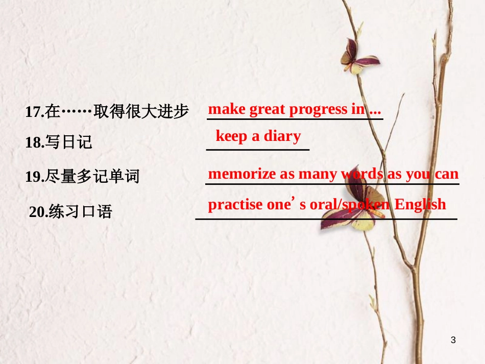 年高考英语二轮复习 专题辅导与测试四 热门话题下的书面表达 押题学案（三）语言学习课件_第3页