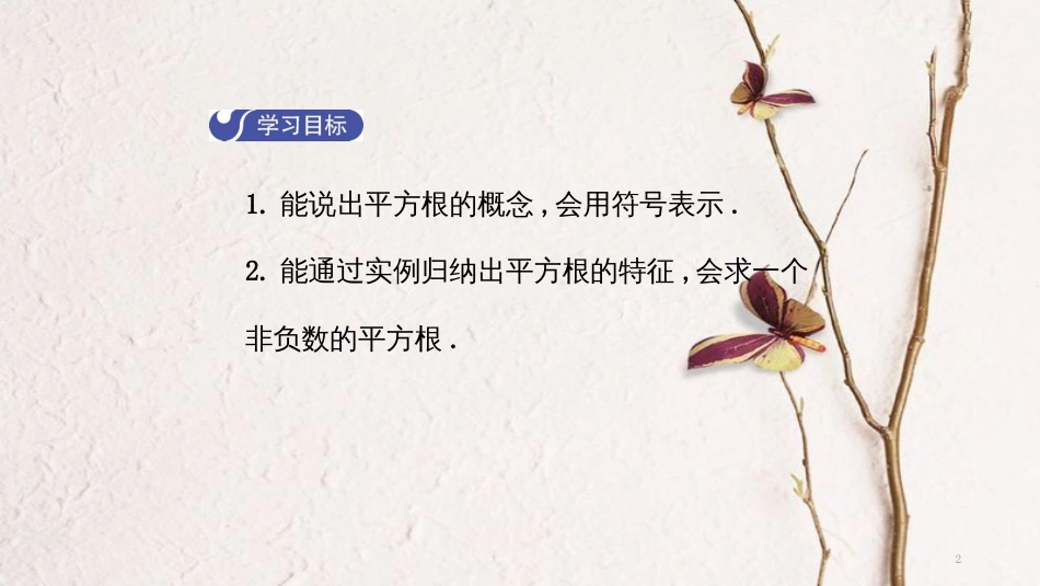 七年级数学下册 6.1 平方根（第3课时）导学课件 （新版）新人教版_第2页