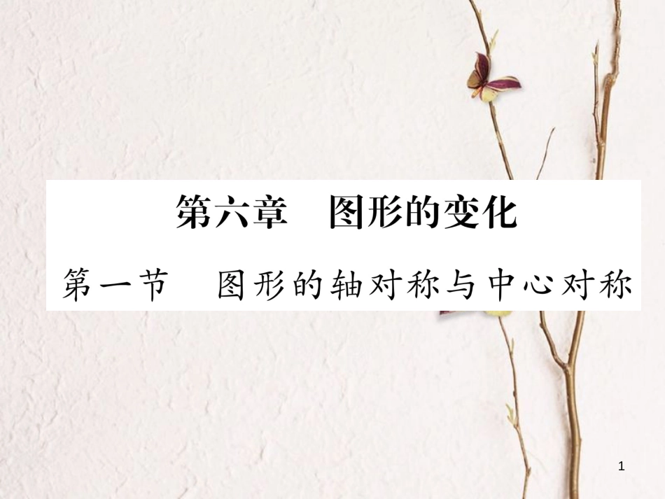 （青海专版）中考数学复习 第1编 教材知识梳理篇 第6章 图形的变化 第1节 图形的轴对称与中心对称（精练）课件_第1页