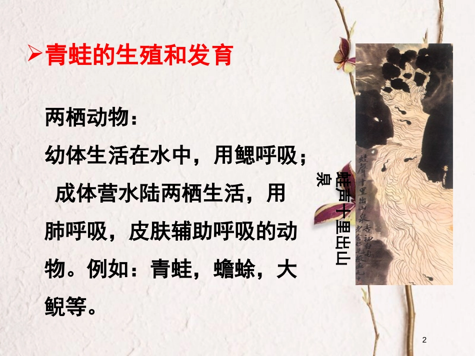 八年级生物下册 7.1.3 两栖动物的生殖和发育教学课件 （新版）新人教版_第2页