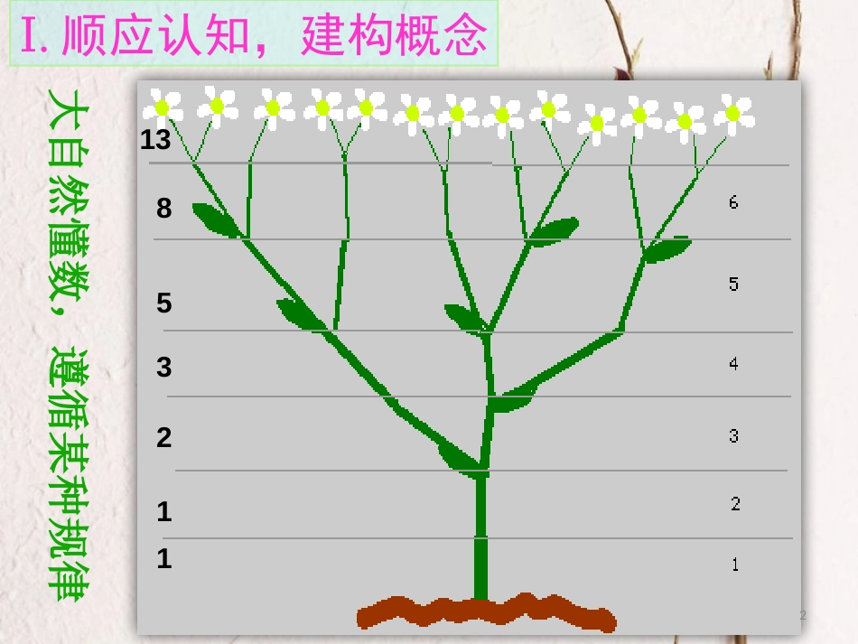 山西省忻州市高考数学专题数列概念2复习课件_第2页