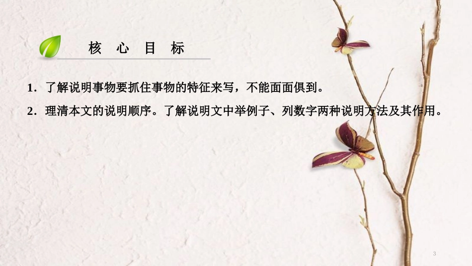 八年级语文上册 第五单元 17 中国石拱桥课件 新人教版[共24页]_第3页