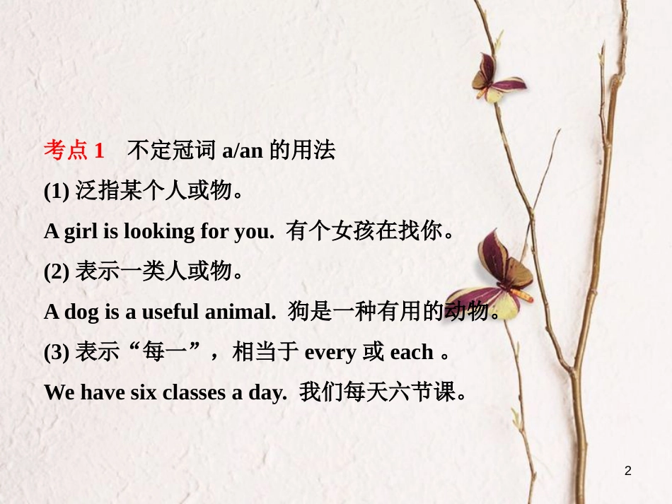 山东省菏泽市中考英语总复习 语法一 冠词课件_第2页