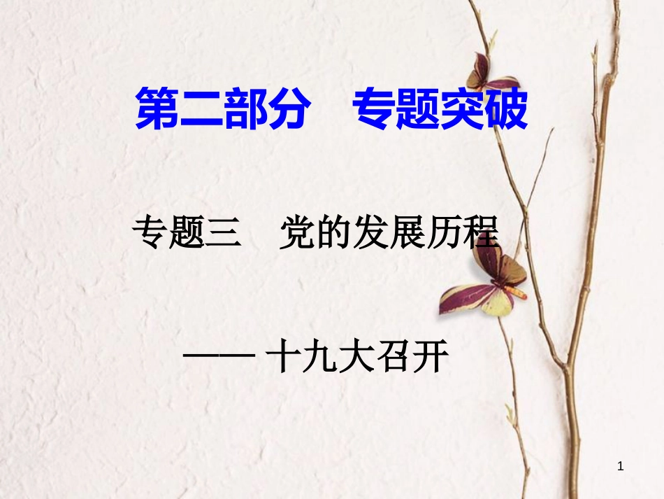湖南省中考历史总复习第二部分专题突破专题三党的发展历程—十九大召开课件岳麓版_第1页