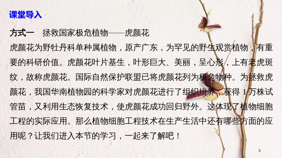 高中生物 第3章 细胞工程 第1节 植物细胞工程 第2课时 植物细胞工程的应用同步备课课件 北师大版选修3_第3页