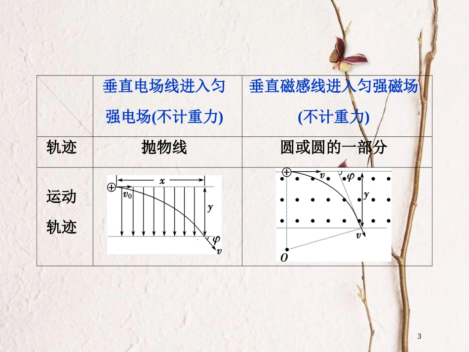 2019届高考物理总复习 第九章 磁场 题型探究课 带电粒子在复合场中的运动课件_第3页