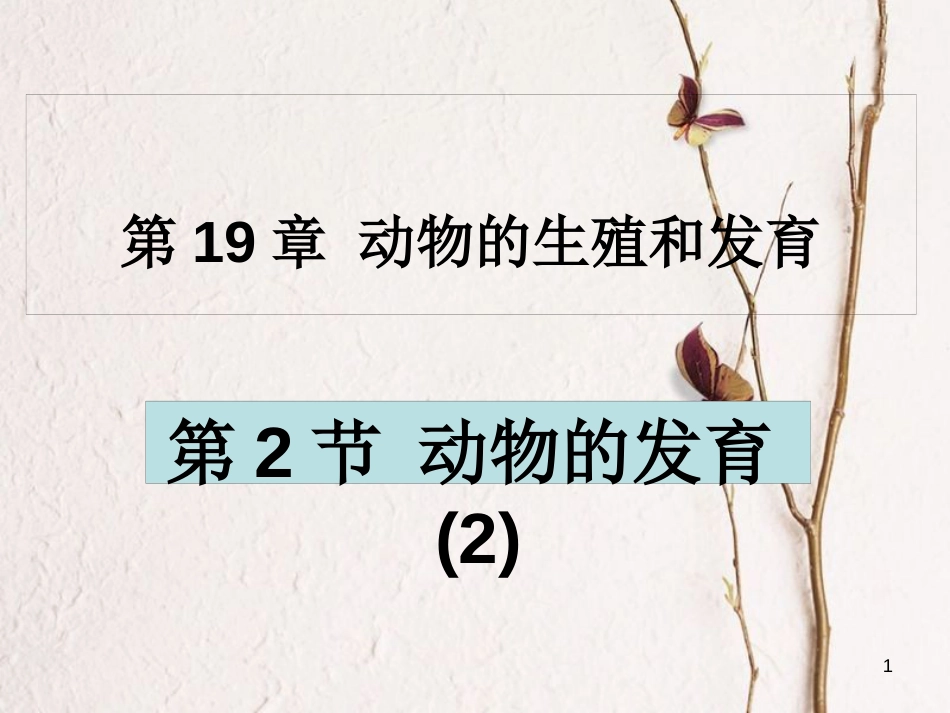 学年八年级生物上册 19.2 动物的发育课件2 苏科版_第1页