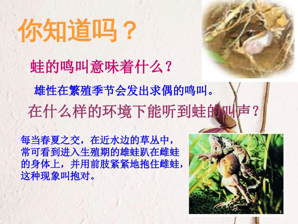 学年八年级生物上册 19.2 动物的发育课件2 苏科版_第2页