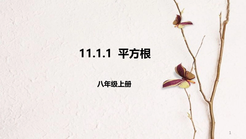 八年级数学上册 第十一章 实数和二次根式 11.1 平方根 11.1.1 平方根课件 北京课改版_第1页