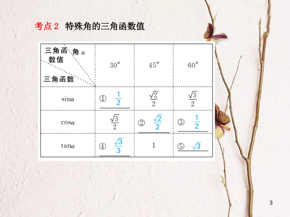 河北省中考数学复习 第4章 图形的初步认识与三角形 第20讲 锐角三角函数及其应用课件_第3页