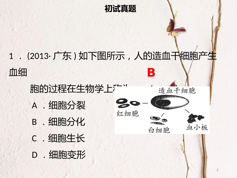 广东省中考生物 模块二 生物体的结构层次 第二课时 细胞的分裂、生长、分化课件_第3页