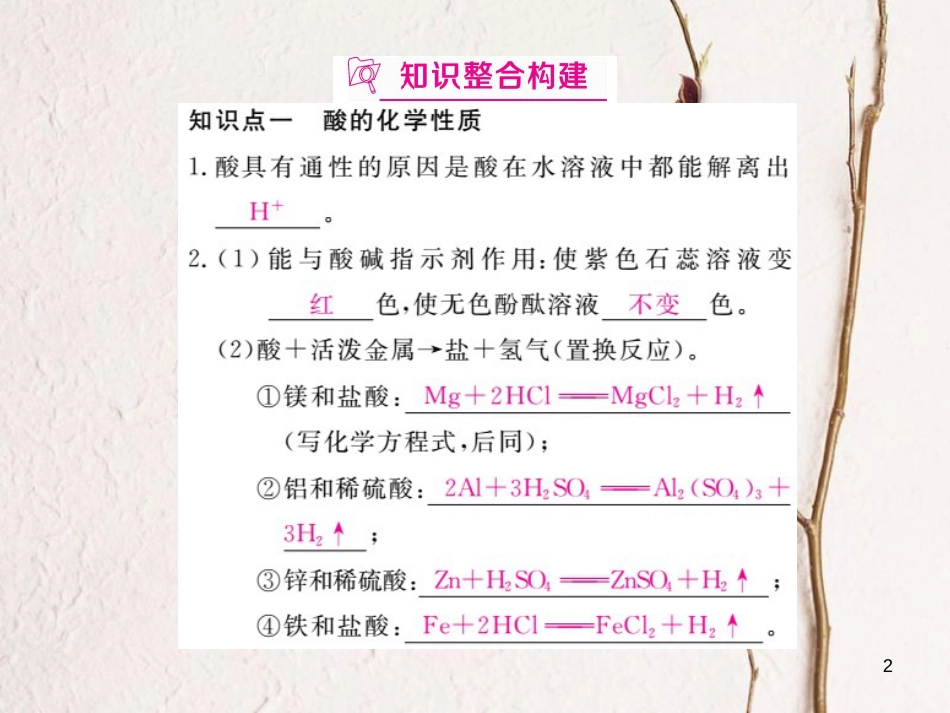 （安徽专版）九年级化学下册 寒假复习十 酸和碱的化学性质练习课件 （新版）新人教版_第2页