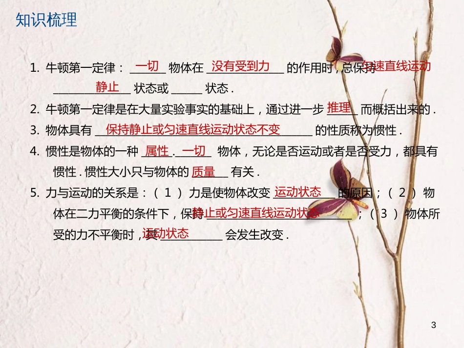 江苏省大丰市中考物理第16课时牛顿第一定律惯性复习课件_第3页