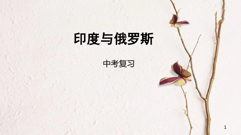 中考地理一轮复习 印度与俄罗斯课件_第1页