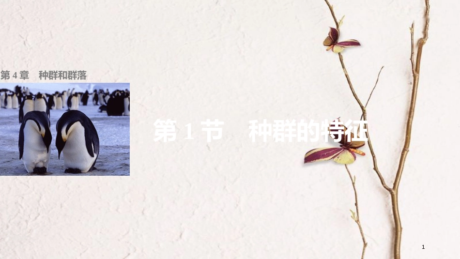 高中生物 第4章 种群和群落 第1节 种群的特征课件 新人教版必修3[共41页]_第1页