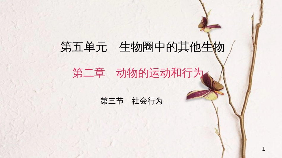 八年级生物上册 第五单元 第二章 第三节 社会行为课件 （新版）新人教版_第1页