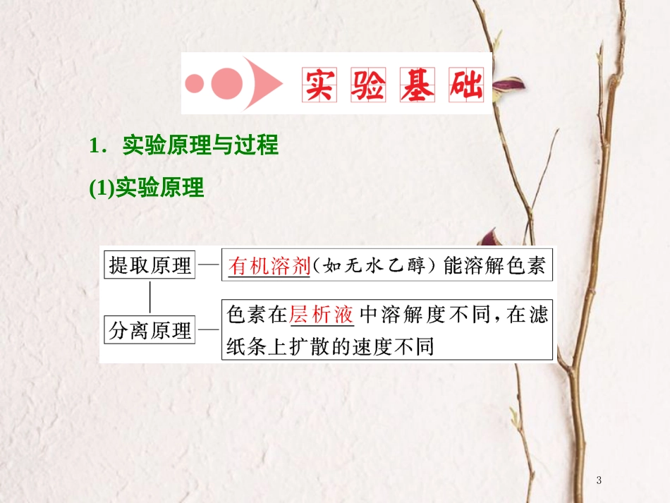 （全国通用版）2019版高考生物一轮复习 第1部分 分子与细胞 第三单元 细胞的能量供应和利用 第3讲 第1课时 绿叶中色素的提取和分离课件_第3页