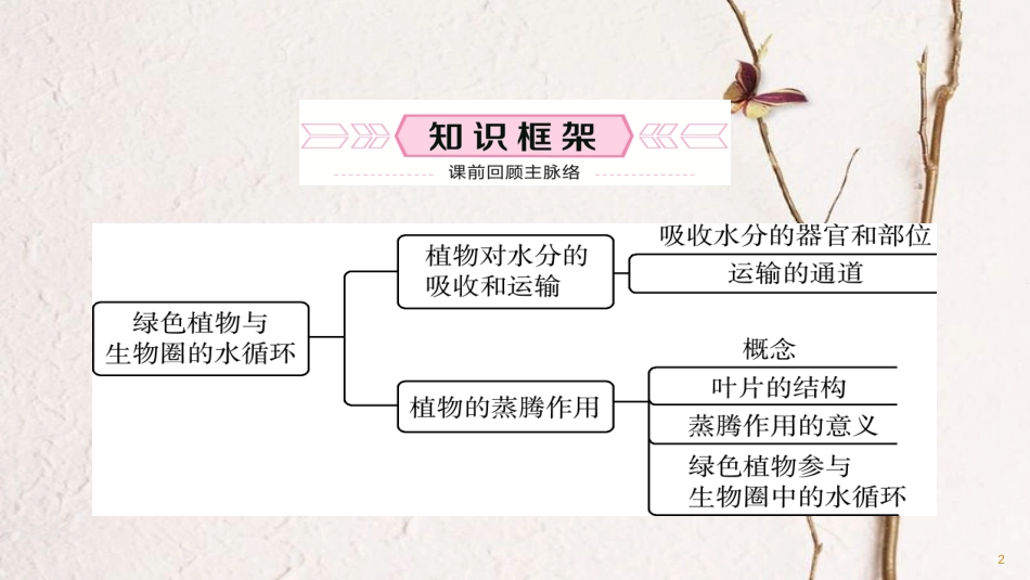 （泰安专版）中考生物总复习 七上 第三单元 第三章 绿色植物与生物圈的水循环教材梳理课件_第2页