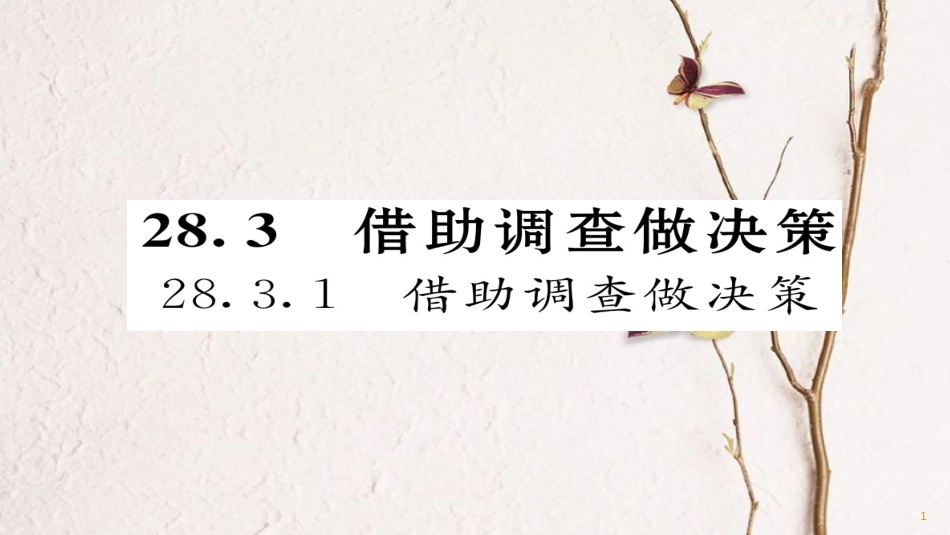 九年级数学下册 第28章 样本与总体 28.3.1 借助调查做决策作业课件 （新版）华东师大版_第1页